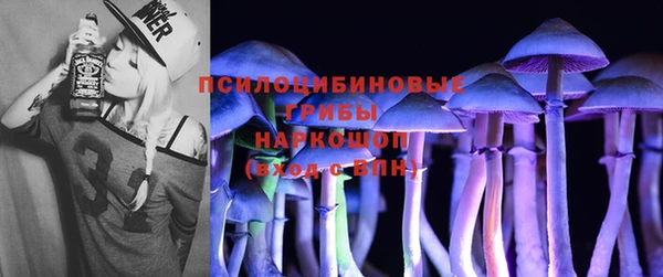 ГАЛЛЮЦИНОГЕННЫЕ ГРИБЫ Ладушкин