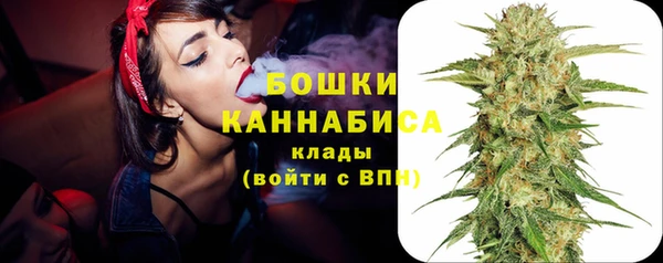 ГАЛЛЮЦИНОГЕННЫЕ ГРИБЫ Ладушкин