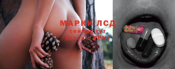 ГАЛЛЮЦИНОГЕННЫЕ ГРИБЫ Ладушкин